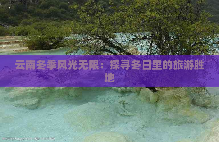 云南冬季风光无限：探寻冬日里的旅游胜地