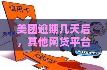 美团逾期几天后，其他网贷平台无法借款的原因和解决办法