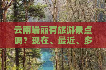 云南瑞丽有旅游景点吗？现在、最近、多少钱？景区和必去的景点有哪些？