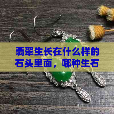 翡翠生长在什么样的石头里面，哪种生石最值钱？