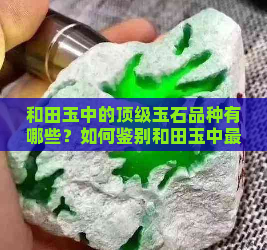 和田玉中的顶级玉石品种有哪些？如何鉴别和田玉中更好的玉？