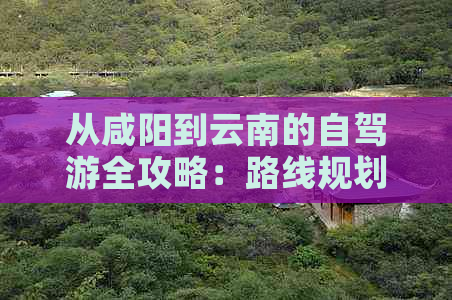 从咸阳到云南的自驾游全攻略：路线规划、景点推荐、交通住宿全方位解答