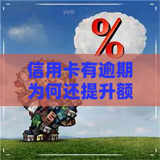 信用卡有逾期为何还提升额度了