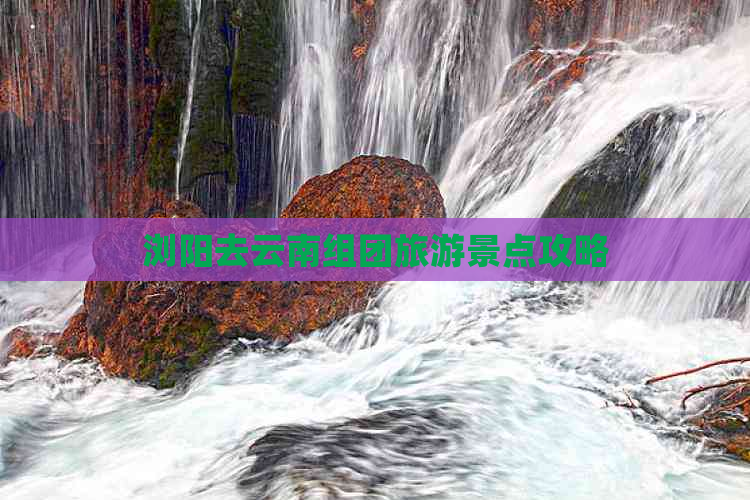 浏阳去云南组团旅游景点攻略