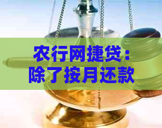 农行网捷贷：除了按月还款，还有逾期和分期方式可选吗？