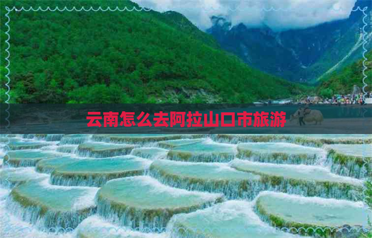 云南怎么去阿拉山口市旅游