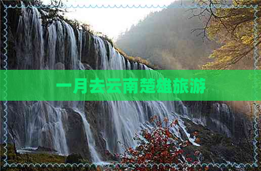 一月去云南楚雄旅游