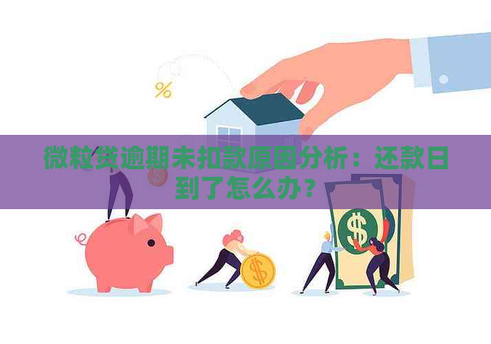 微粒贷逾期未扣款原因分析：还款日到了怎么办？