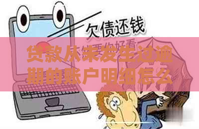 贷款从未发生过逾期的账户明细怎么消除