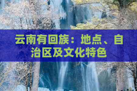 云南有     ：地点、自治区及文化特色