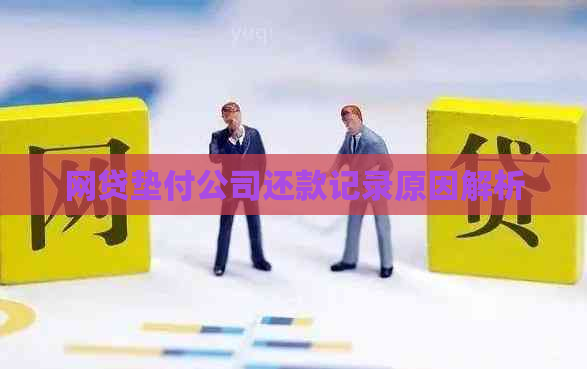 网贷垫付公司还款记录原因解析