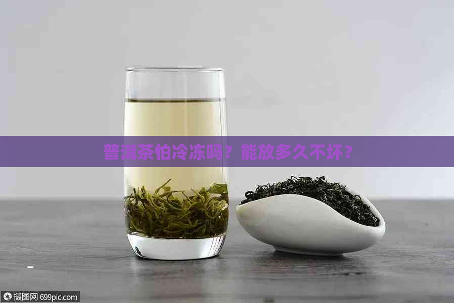 普洱茶怕冷冻吗？能放多久不坏？