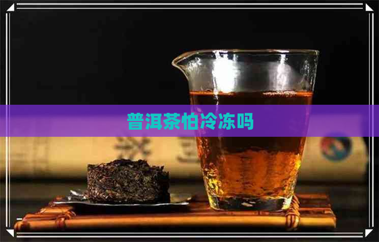 普洱茶怕冷冻吗