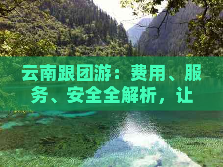 云南跟团游：费用、服务、安全全解析，让你了解真正的旅游体验如何？