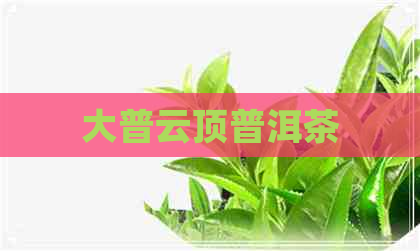 大普云顶普洱茶