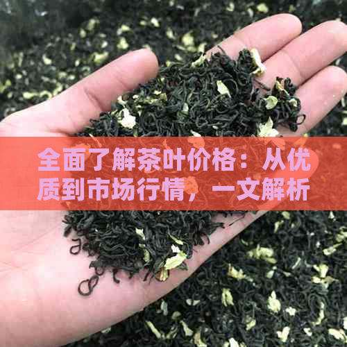 全面了解茶叶价格：从优质到市场行情，一文解析心意茶叶的选购与性价比