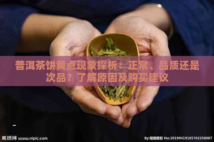 普洱茶饼黄点现象探析：正常、品质还是次品？了解原因及购买建议