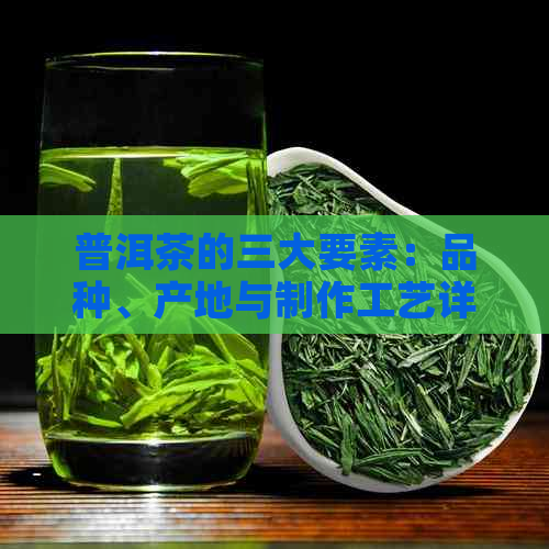 普洱茶的三大要素：品种、产地与制作工艺详解