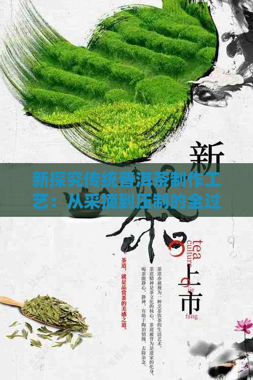 新探究传统普洱茶制作工艺：从采摘到压制的全过程解析