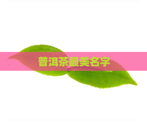 普洱茶最美名字