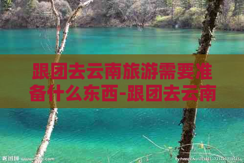 跟团去云南旅游需要准备什么东西-跟团去云南旅游需要准备什么东西吗-