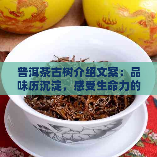 普洱茶古树介绍文案：品味历沉淀，感受生命力的绽放。