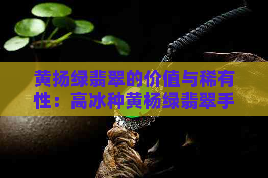 黄扬绿翡翠的价值与稀有性：高冰种黄杨绿翡翠手镯