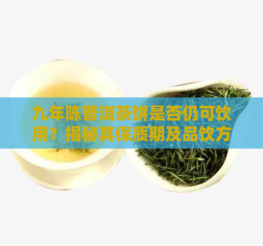 九年陈普洱茶饼是否仍可饮用？揭秘其保质期及品饮方法