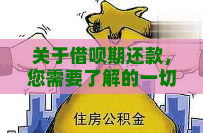 关于借呗期还款，您需要了解的一切信息和解决方案