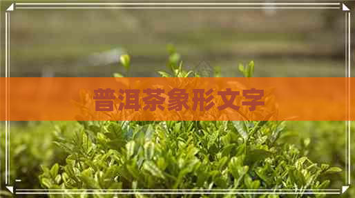 普洱茶象形文字