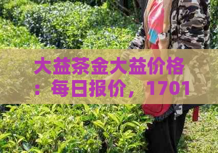 大益茶金大益价格：每日报价，1701年版，最新原材料，2017年回顾。