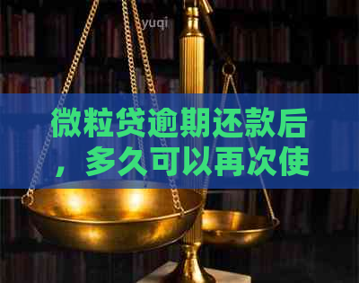 微粒贷逾期还款后，多久可以再次使用？以及逾期还款后影响和解决方案