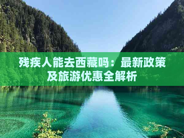 残疾人能去     吗：最新政策及旅游优惠全解析