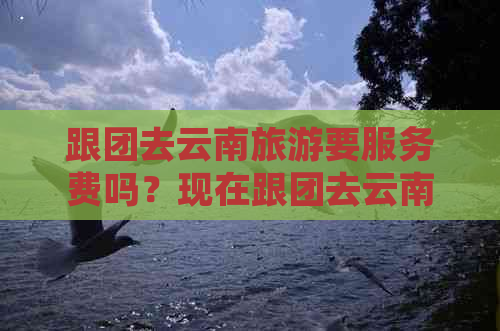 跟团去云南旅游要服务费吗？现在跟团去云南旅游需要多少钱？