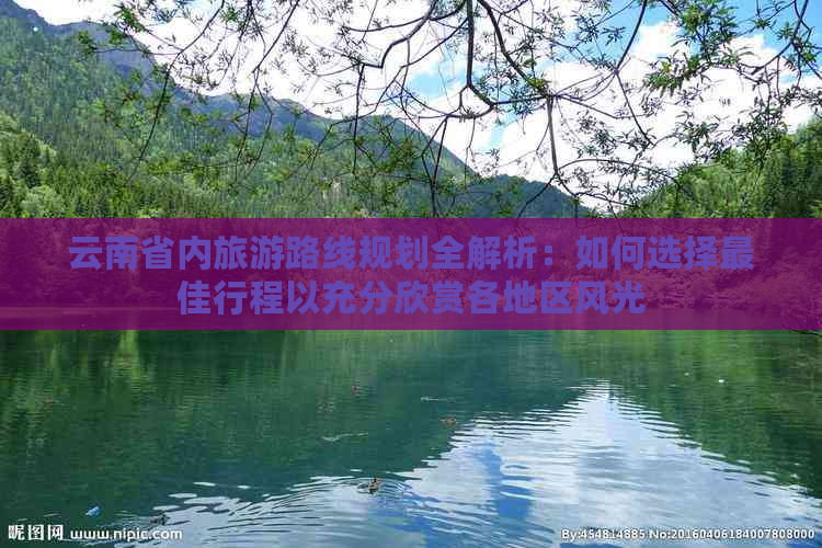 云南省内旅游路线规划全解析：如何选择更佳行程以充分欣赏各地区风光