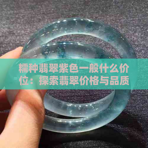 糯种翡翠紫色一般什么价位：探索翡翠价格与品质关系