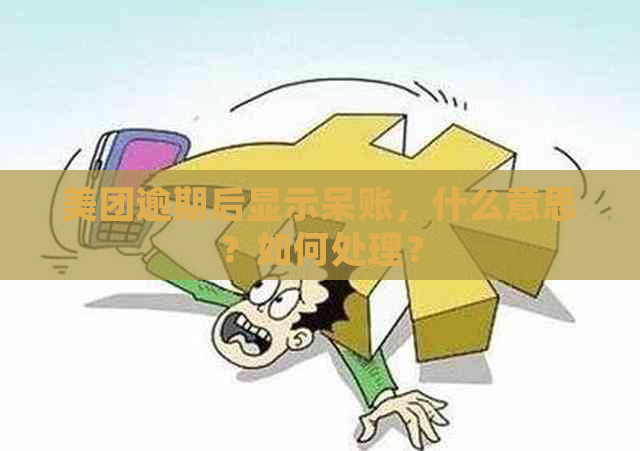 美团逾期后显示呆账，什么意思？如何处理？