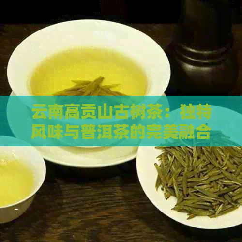 云南高贡山古树茶：独特风味与普洱茶的完美融合