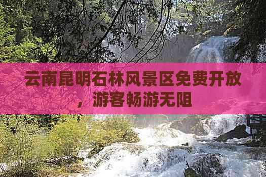 云南昆明石林风景区免费开放，游客畅游无阻