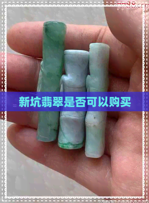 新坑翡翠是否可以购买