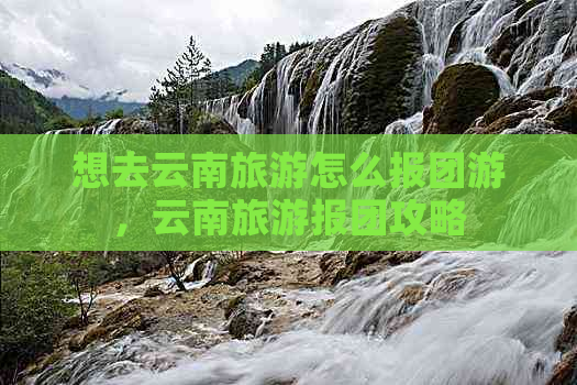 想去云南旅游怎么报团游，云南旅游报团攻略