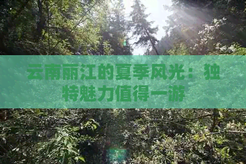 云南丽江的夏季风光：独特魅力值得一游