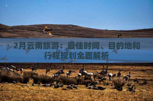 2月云南旅游：更佳时间、目的地和行程规划全面解析