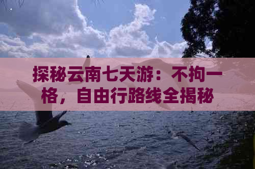 探秘云南七天游：不拘一格，自由行路线全揭秘