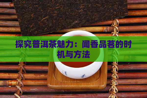 探究普洱茶魅力：闻香品茗的时机与方法