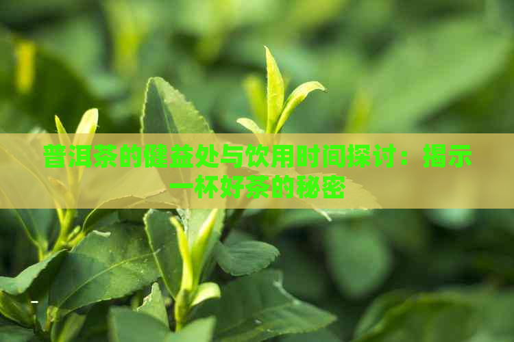 普洱茶的健益处与饮用时间探讨：揭示一杯好茶的秘密