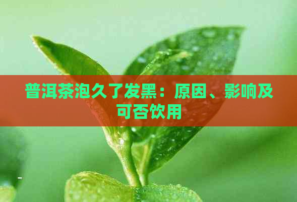 普洱茶泡久了发黑：原因、影响及可否饮用