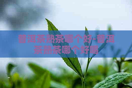 普洱茶熟茶哪个好-普洱茶熟茶哪个好喝