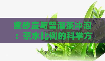 紫砂壶与普洱茶冲泡：茶水比例的科学方法及实践技巧详解