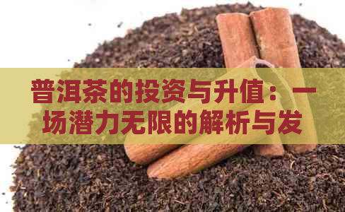 普洱茶的投资与升值：一场潜力无限的解析与发现